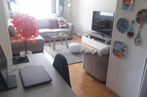 Spacious apartment near the center of Salo, Salo